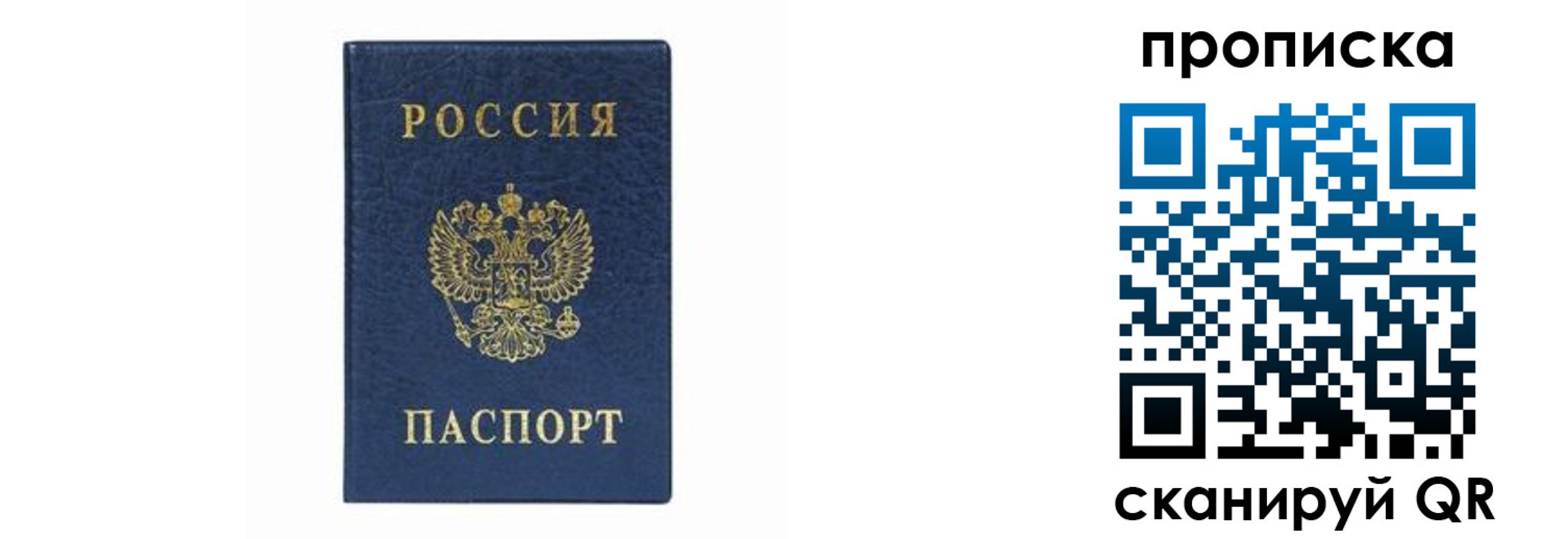 временная регистрация поиск в Ногинске